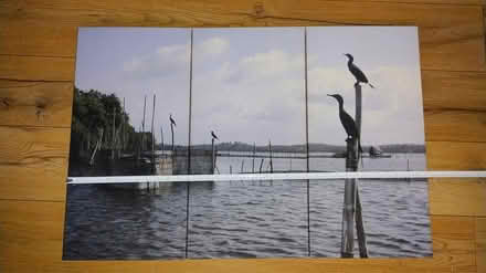 Photo of free Canvas (Southampton SO16) #2