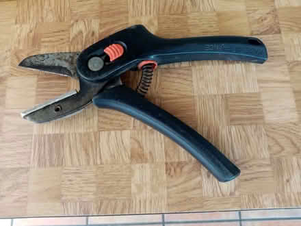 Photo of free Secateurs (Northcourt OX14) #1