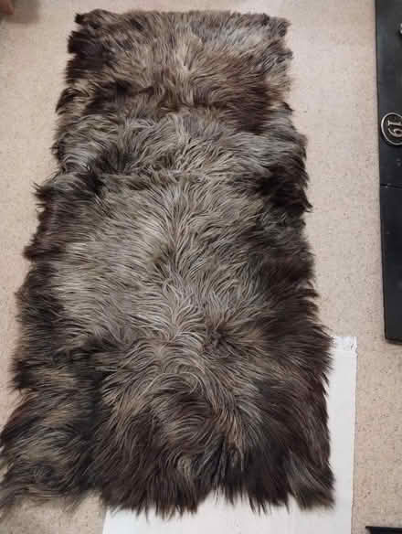 Photo of free Goatskin rug. (New Catton NR3) #2