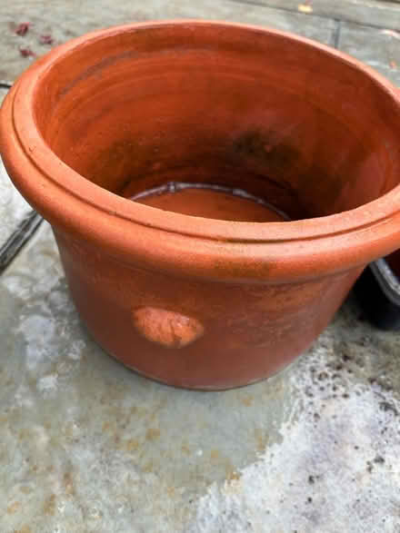Photo of free Assorted pots for plants (Tolworth) #3
