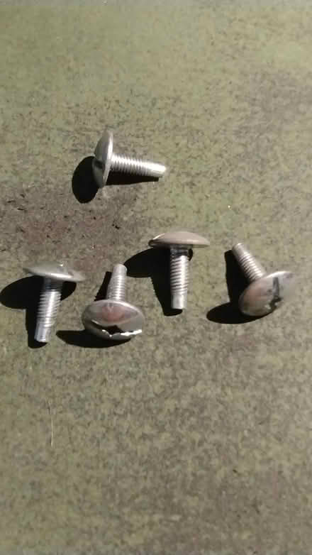 Photo of free Square D Elec Panel Screws (5 each) (Haymarket/Westerly Parkway) #1