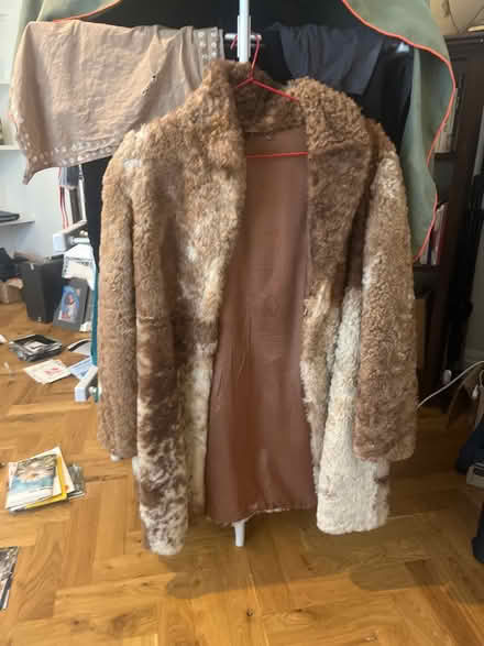 Photo of free Sheepskin coat (SW9) #1