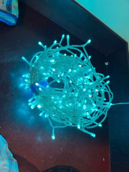 Photo of free Holiday lights - 25 or 30’ (Rhinebeck village) #2