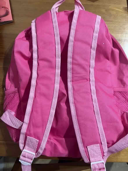 Photo of free Paw patrol backpack (Fairfield Park) #3