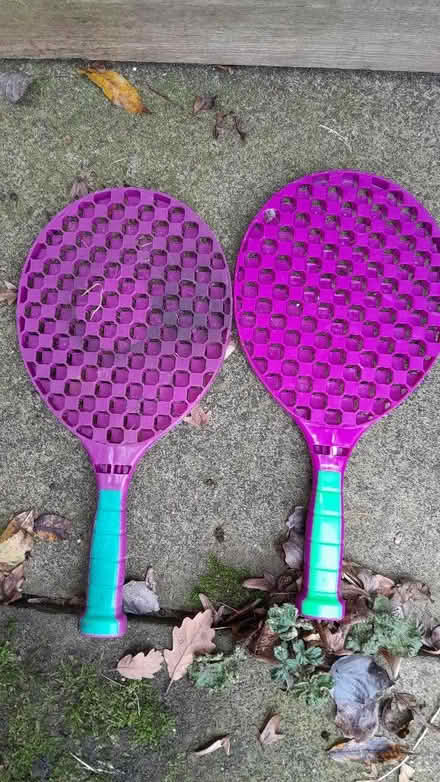 Photo of free Bats (Smiths Estate OX28) #1