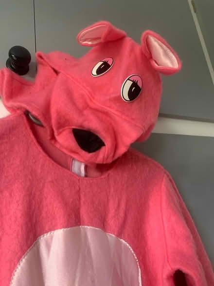 Photo of free Home made Pink Panther costume. (Hillingdon UB10) #2