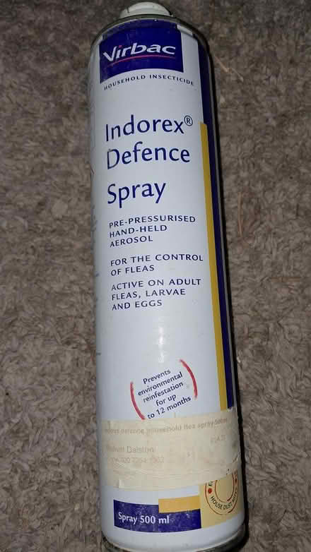 Photo of free Cat bundle (Holloway road N4) #2