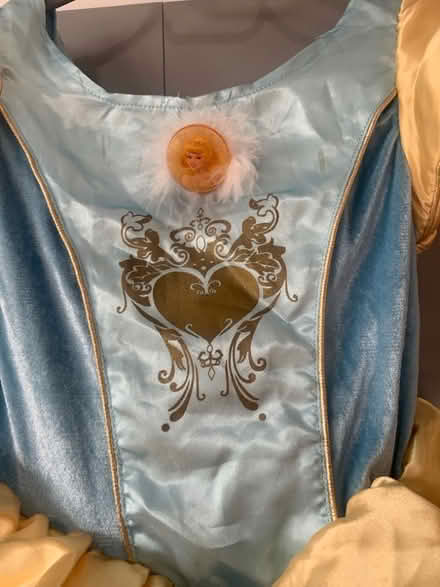 Photo of free Disney princess fancy dress. (Hillingdon UB10) #2