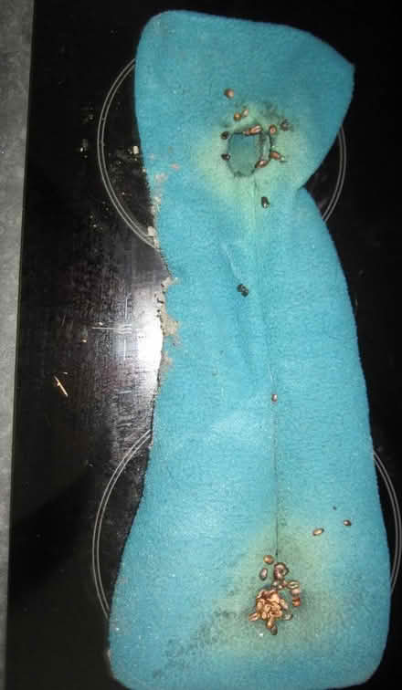 Photo of Microwaveable Neck And Body Warmer (crookes S10) #1