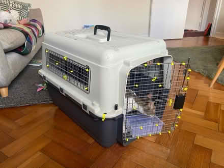 Photo of free Large cat carrier (by Clissold Park N16) #1