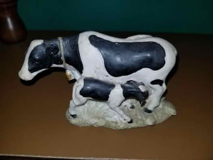 Photo of free Cow (Huntington MA) #1