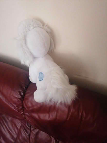 Photo of free Cuddly Toy (Parkstone BH14) #3