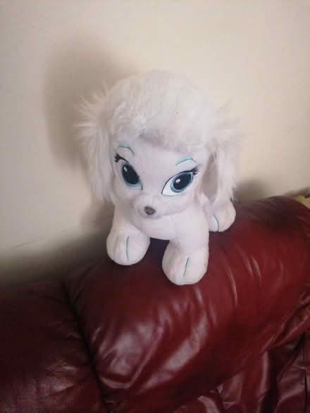 Photo of free Cuddly Toy (Parkstone BH14) #2