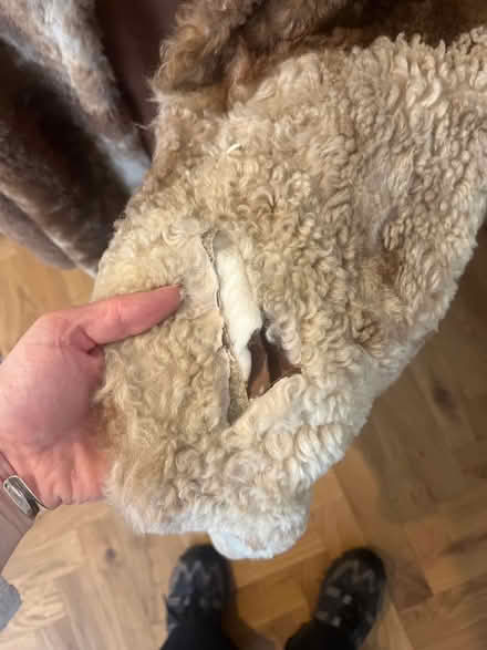 Photo of free Sheepskin coat (SW9) #4