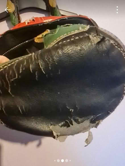 Photo of free Mushroom Bag (Morda SY10) #3