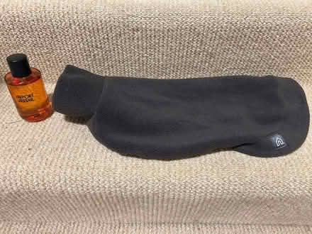 Photo of free Dog coat (Windermere LA23) #1