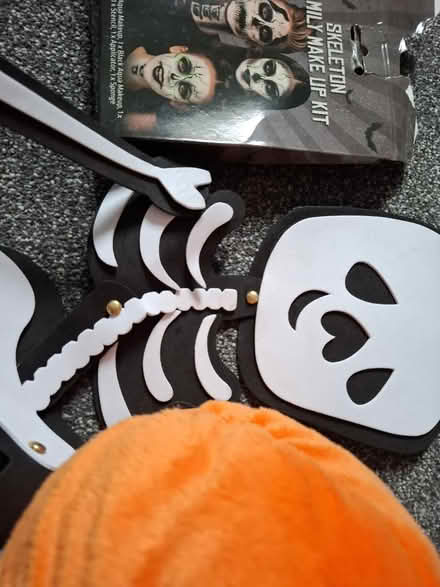 Photo of free Halloween decs (EH20 loanhead) #4