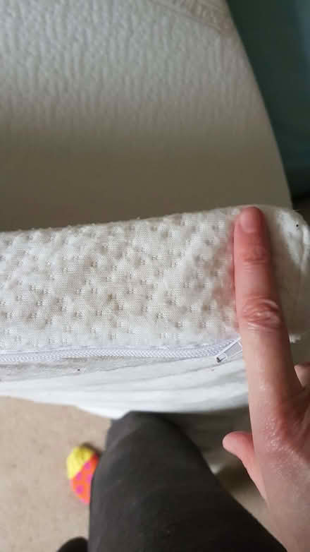 Photo of free Memory foam mattress topper (Royston SG8) #4