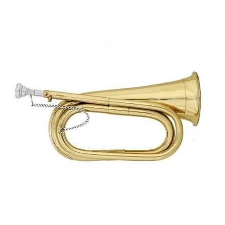 Photo of Bugle (Henwick RG19) #1