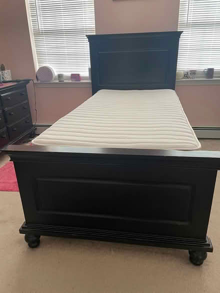 Photo of free Twin Bed Frame - black (New Paltz) #2