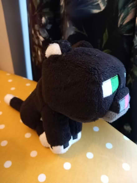 Photo of free Minecraft soft toy (Wolverley DY11) #1