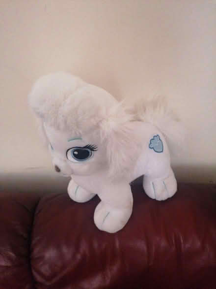 Photo of free Cuddly Toy (Parkstone BH14) #1