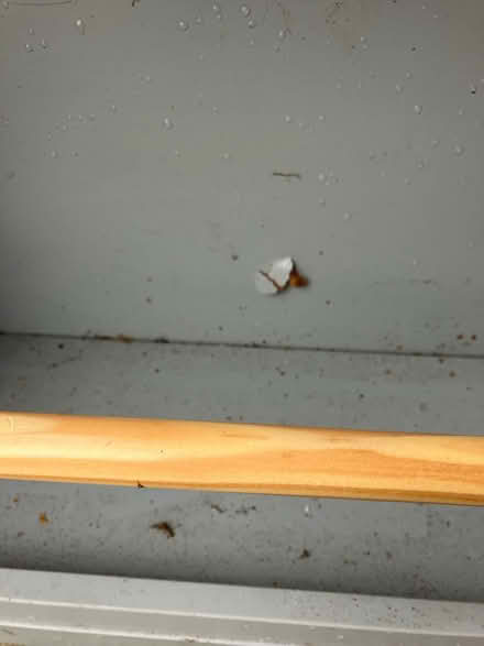 Photo of free Children’s bookcase (Rufford L40) #2