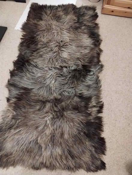 Photo of free Goatskin rug. (New Catton NR3) #1
