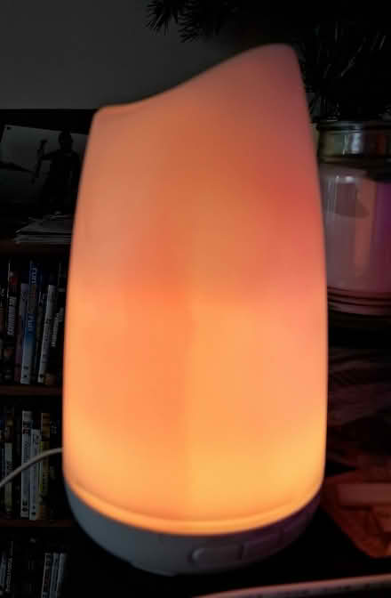 Photo of free oil diffuser (Bayshore) #1