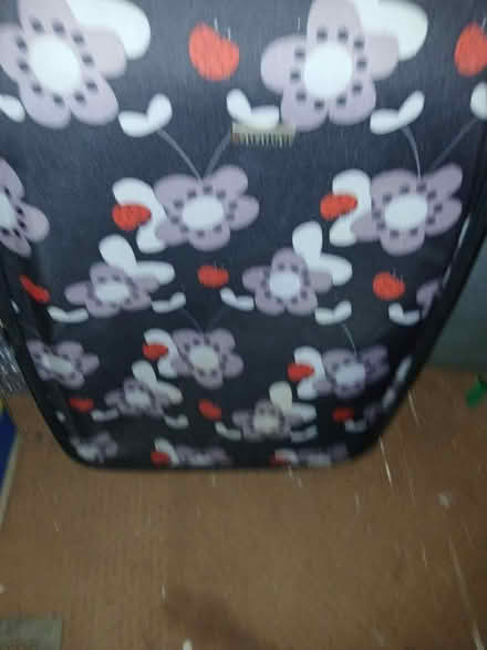 Photo of free Suitcase full of CD'S (South norwood SE25) #1