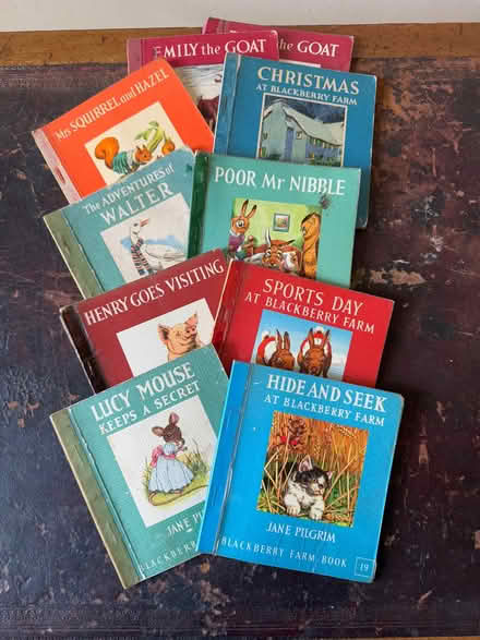 Photo of free BlackBerry Farm children’s books (East Dulwich SE22) #1