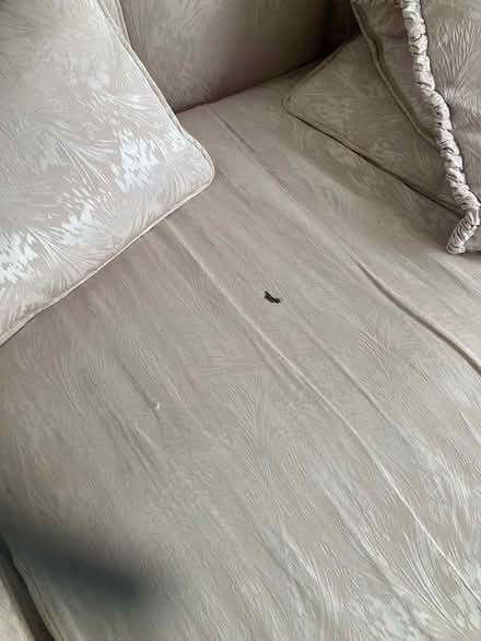 Photo of free Sofa and two chairs (Cardiff CF14 1BH) #3