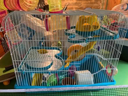 Photo of free Fantastic hamster cage with lots of play activity (North Road) #1