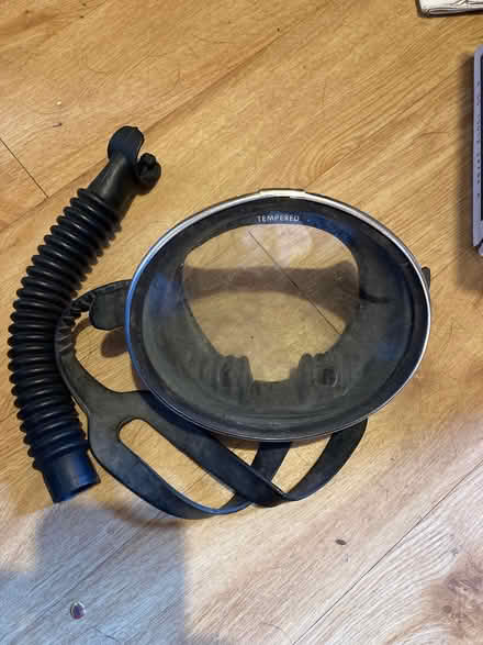 Photo of free Snorkelling mask (Colchester station CO4) #1