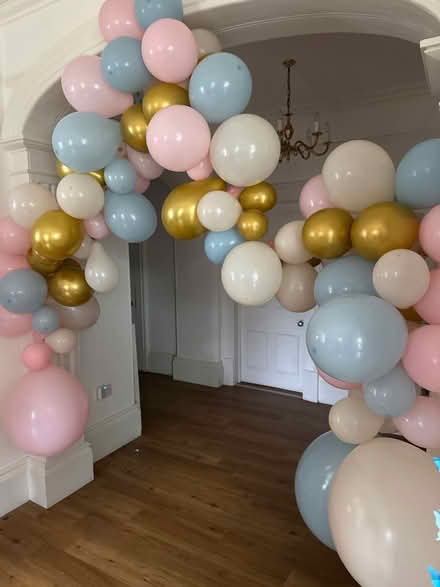 Photo of free Balloons, inflated (not helium) (Crookes S10) #1