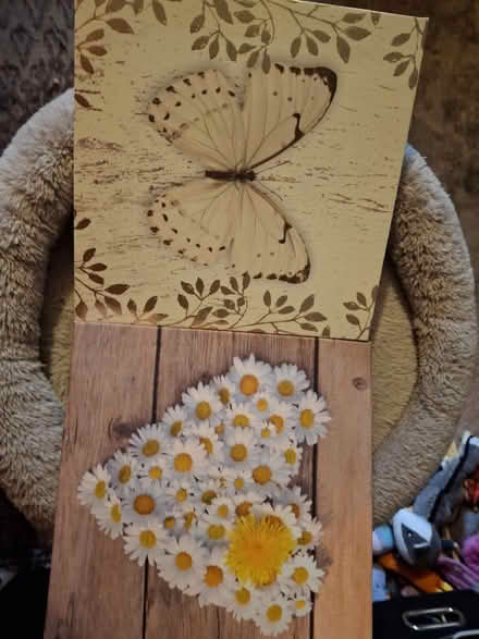 Photo of free Small canvas canvas (SG64YQ) #1