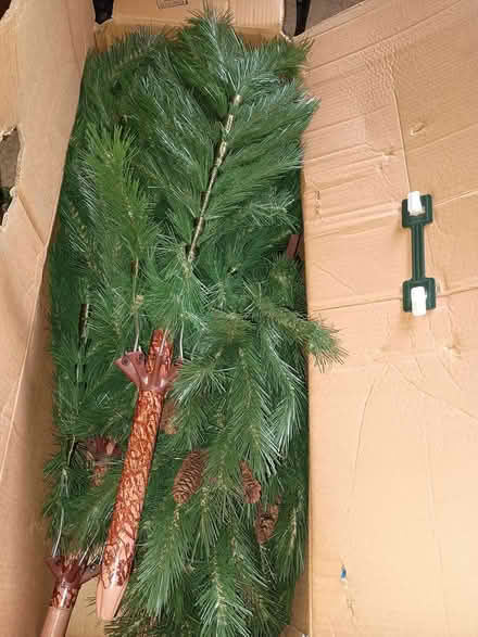 Photo of free Xmas tree (Chirk Bank LL14) #2