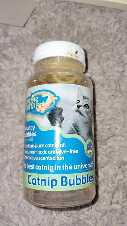 Photo of free Cat bundle (Holloway road N4) #3