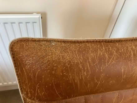 Photo of free Cooper dining chairs x 2 - leather (Norfolk Park S2) #3