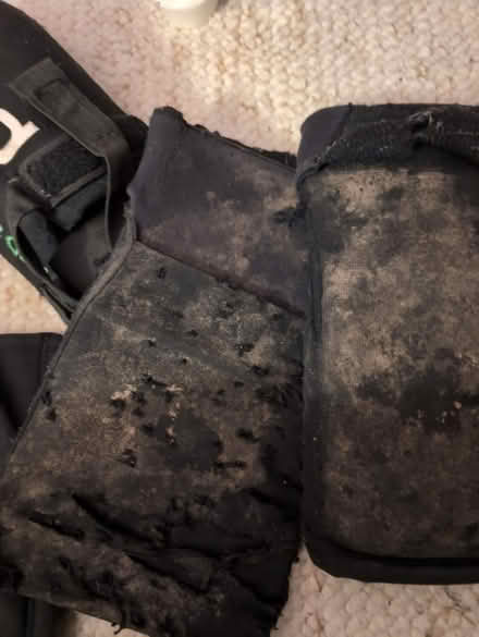Photo of free Shin, knee and elbow pads for mtb (S10 Crookes) #3