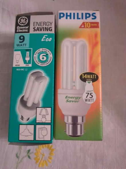 Photo of free 2 light bulbs (Leicester Forest East LE3) #1