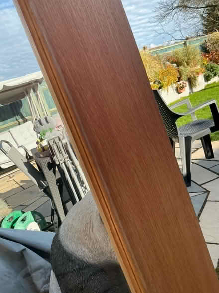 Photo of free Glazed internal French doors (Aylesbury HP21) #4