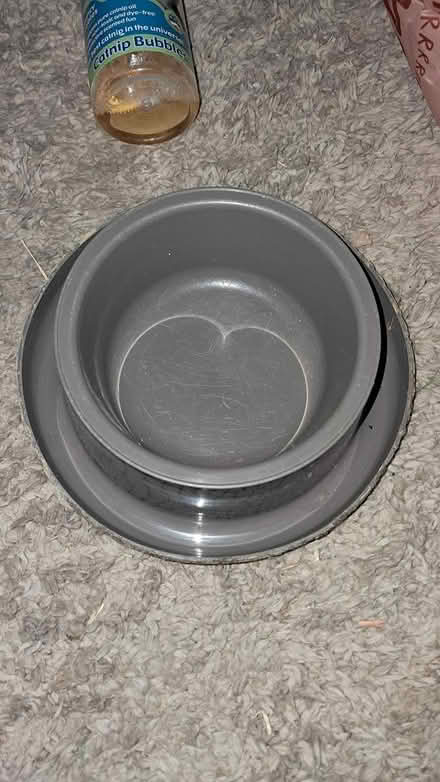 Photo of free Cat bundle (Holloway road N4) #4