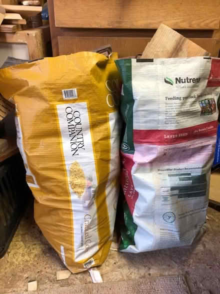 Photo of free firewood (Near Sloans Lake) #4