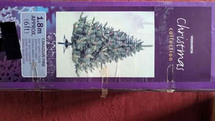 Photo of free Artificial Christmas Tree (Pollokshields) (Pollokshields G41) #1