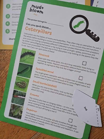 Photo of free Kids Flower Fairies Mud & Bloom (OX25, Weston on the green) #3