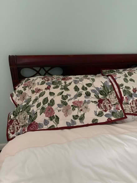 Photo of free Martha Stewart standard shams (putnam valley) #1