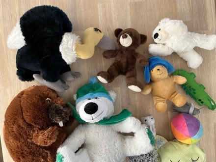 Photo of free stuffed animals (Lawrence/ El Camino Real) #1