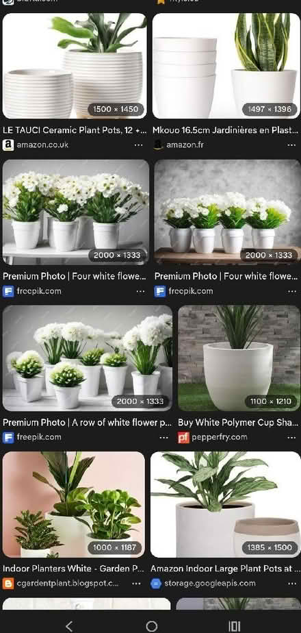 Photo of Indoor Flower pot (Kemptown BN2) #1