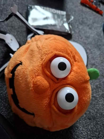 Photo of free Halloween decs (EH20 loanhead) #2